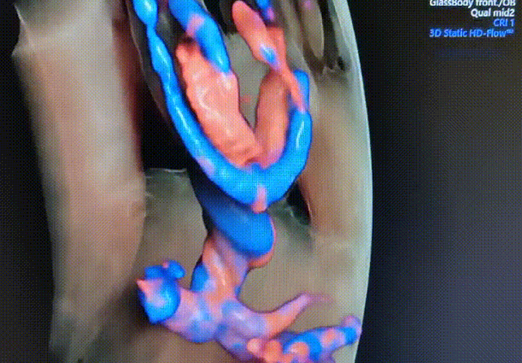 QQ20251223-110913.jpg